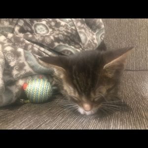 Meet your Posher, Aditi